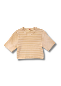 3/4 Sleeve Stripe Crop Top Dusty Pink