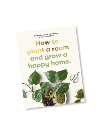 How To Plant A Room: And Grow a Happy Home