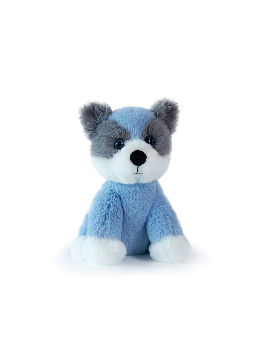 Little Cal Cattle Dog