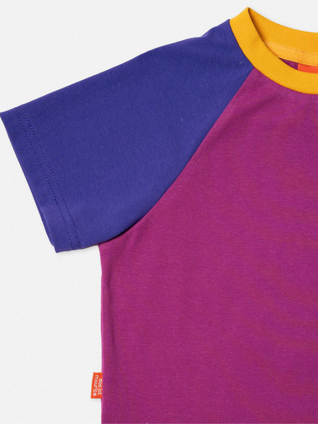 Raglan T-Shirt Purple