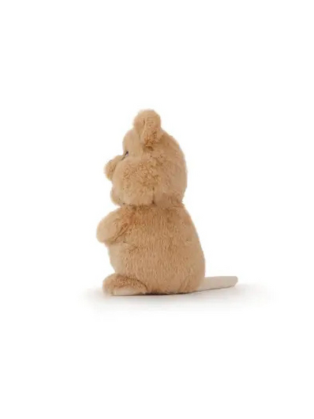 Little Quoksworth Quokka