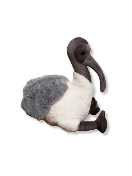 Furfolk Ibis
