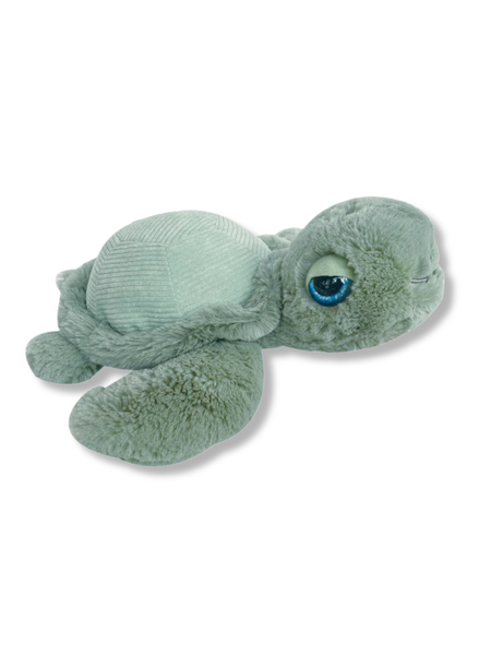 Tyler Turtle