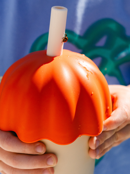 Smoothie Cup - Passata