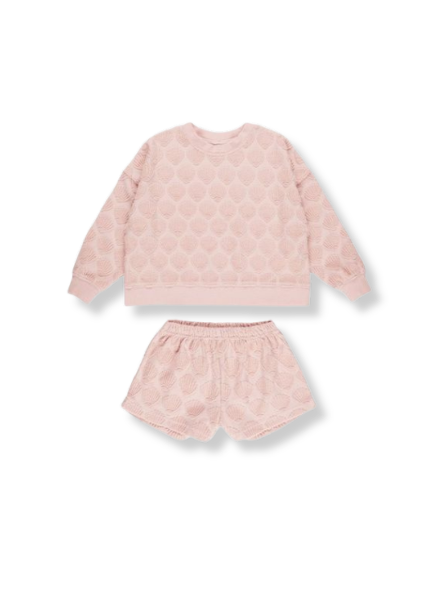 Karli Set Shells