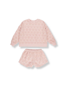 Karli Set Shells