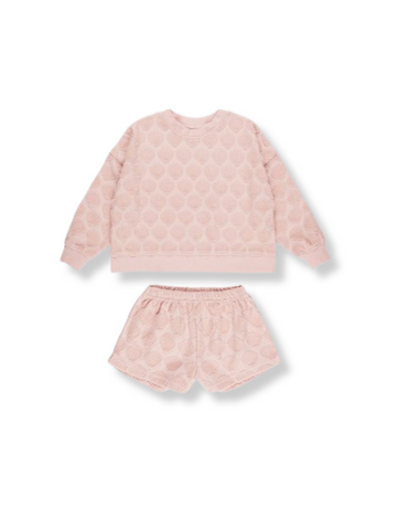 Karli Set Shells