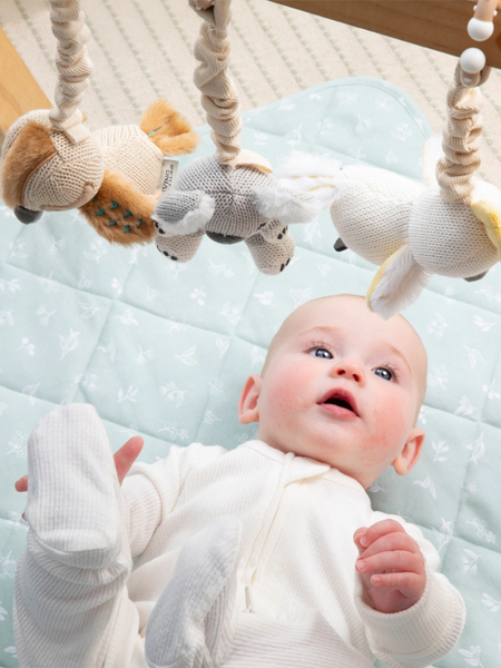 Koala & Cockatoo Stroller Toy