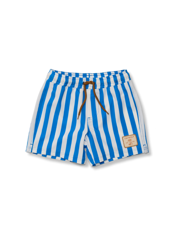 Board Shorts Deep Ocean Stripe