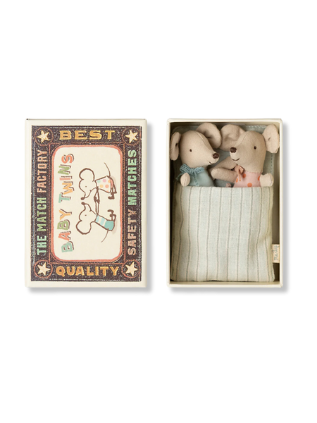 Mice Twins Baby In Matchbox