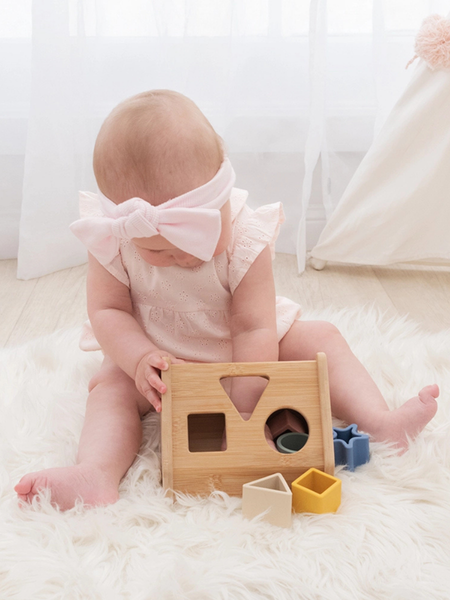 House Shape Sorter
