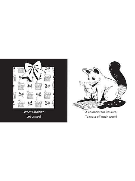 Aussie Christmas Surprise - High Contrast Board Book