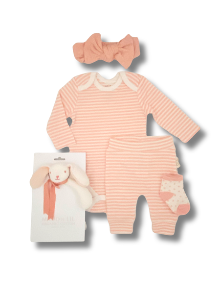 Baby Gift Box Large - Pink