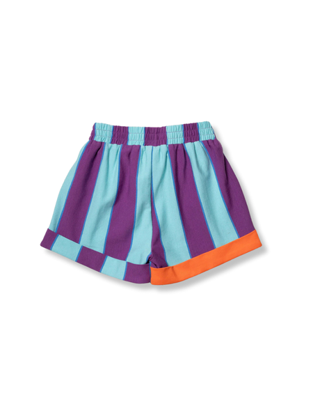 Shorts Purple & Aqua Stripes