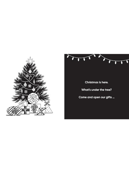 Aussie Christmas Surprise - High Contrast Board Book