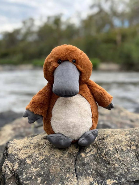 Furfolk Platypus